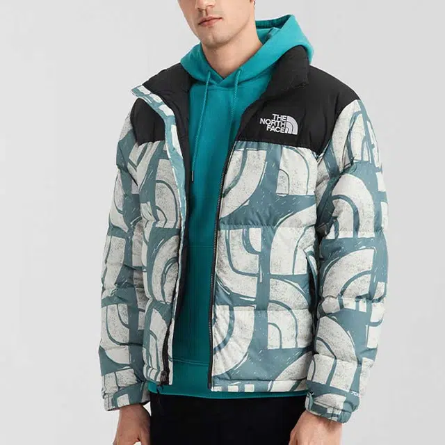 THE NORTH FACE 1996 Retro Nuptse 700