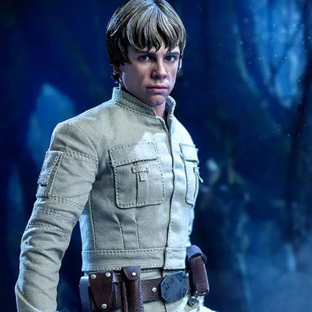 Hot Toys 16 5 dx 28cm