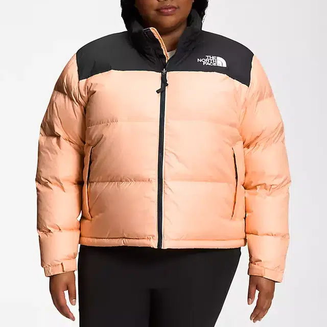 THE NORTH FACE Plus 1996 Nuptse Logo