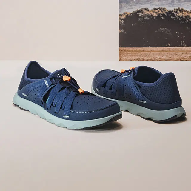 Clarks