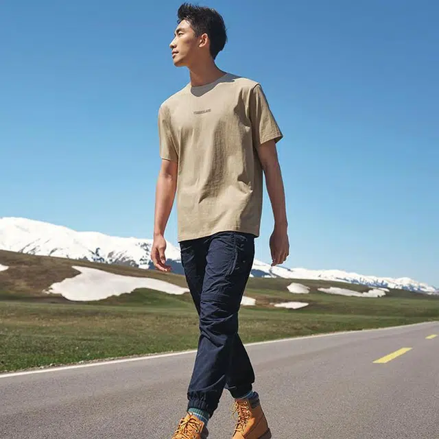 Timberland T