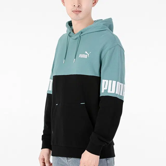 Puma Power Logo