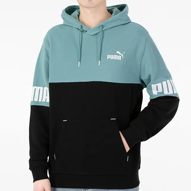 Puma Power Logo