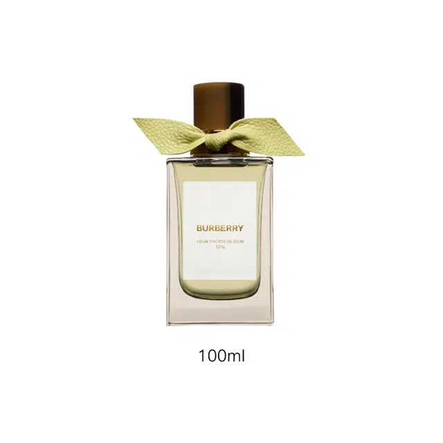 Burberry EDP 100ml150ml