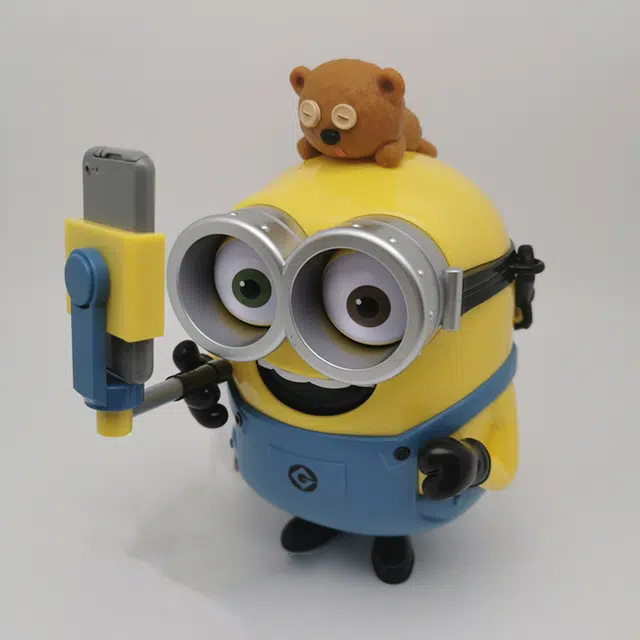 IP