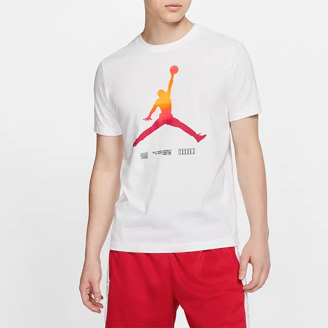 Jordan Legacy AJ11 T