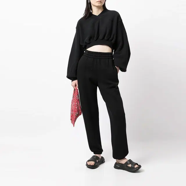 alexander wang VLogo