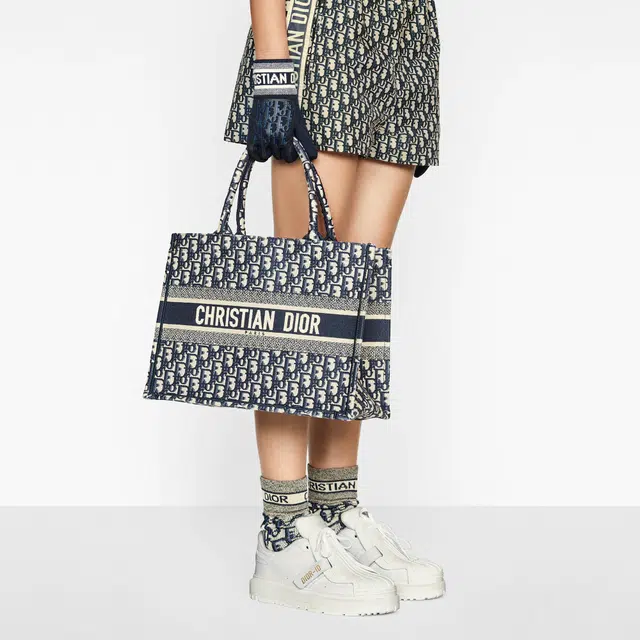 DIOR BookTote Oblique Tote