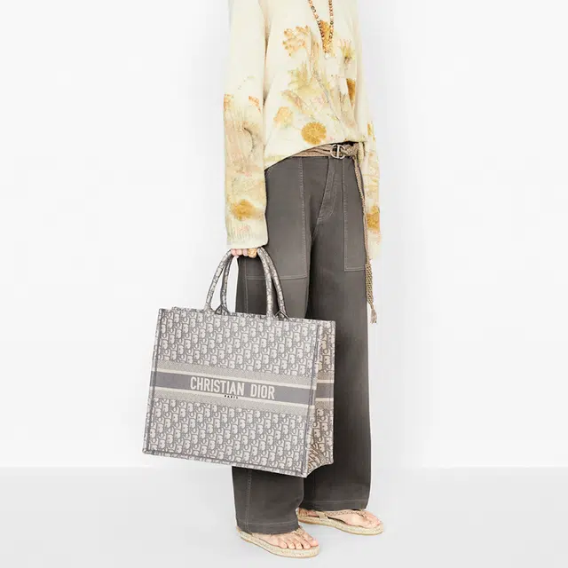DIOR BookTote Oblique Tote