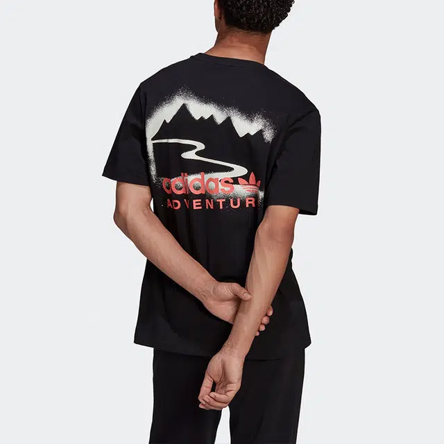 adidas originals Mtn Spr Tee LogoT