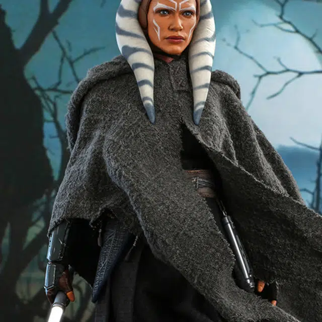 Hot Toys 16 dx20 28.5cm