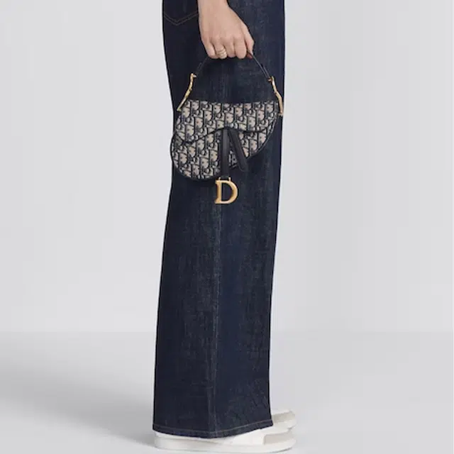 DIOR Saddle