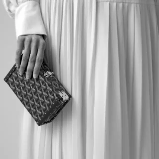 GOYARD Minaudiere Y