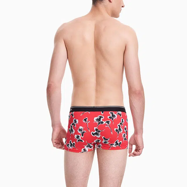 CKCalvin Klein