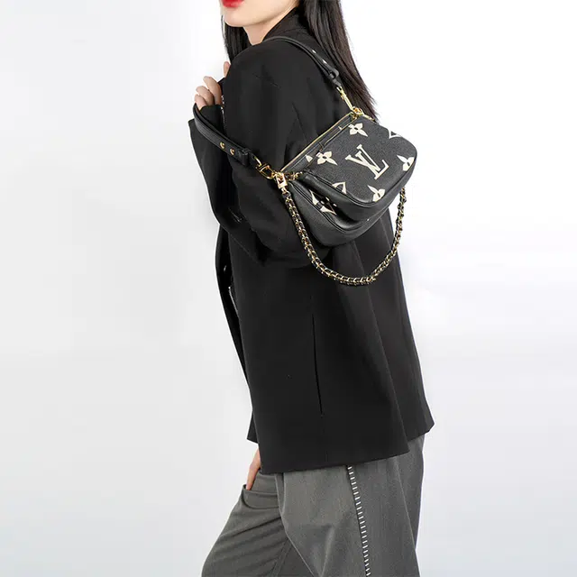 LOUIS VUITTON Multi Pochette