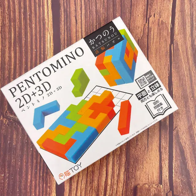 HANAYAMA Pentomino 3DPuzzle