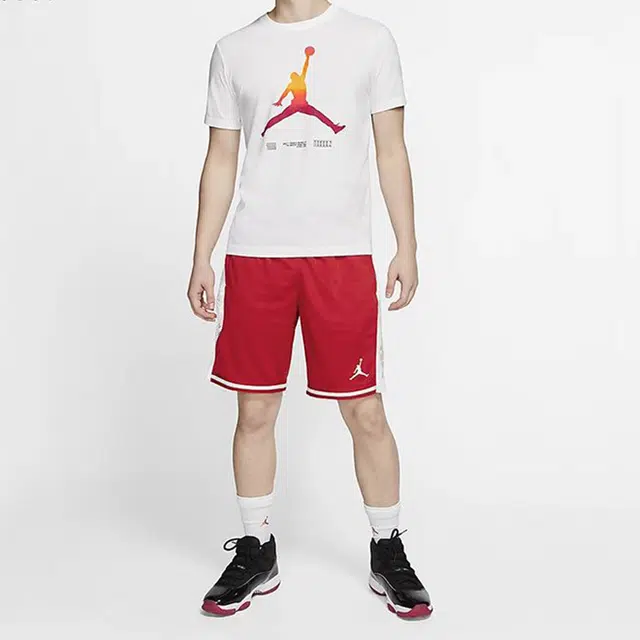 Jordan Legacy AJ11 T