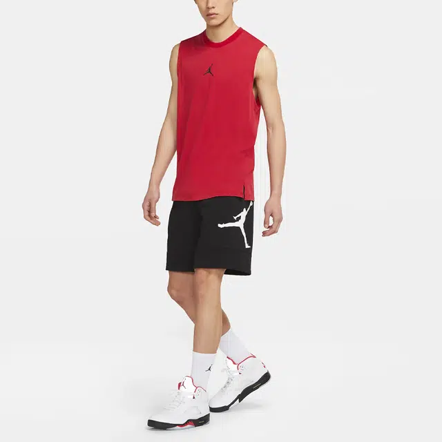 Air Jordan DRI-FIT T