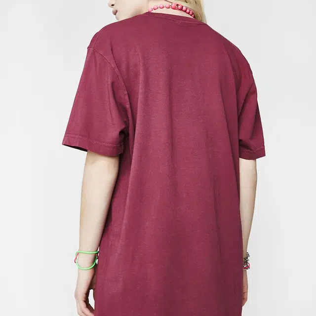 RIPNDIP T