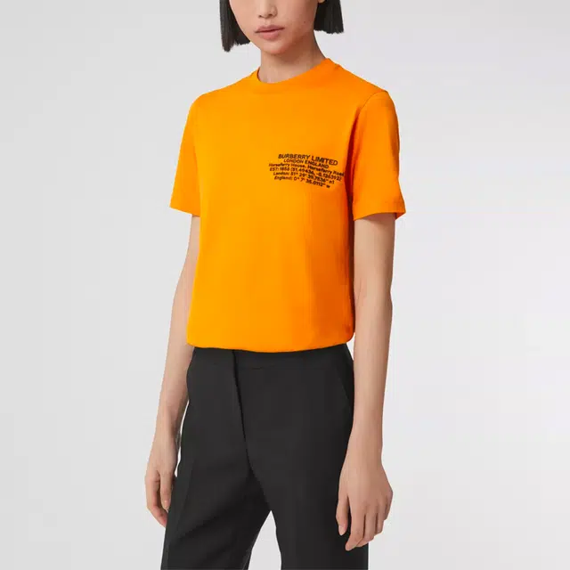 Burberry T