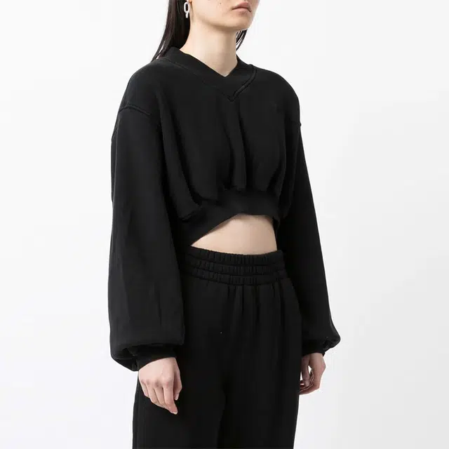 alexander wang VLogo