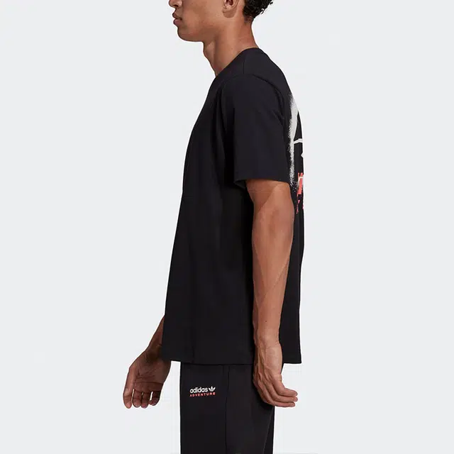 adidas originals Mtn Spr Tee LogoT