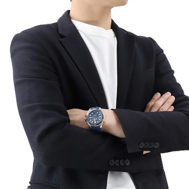 OMEGA 42mm 210.22.42.20.03.001