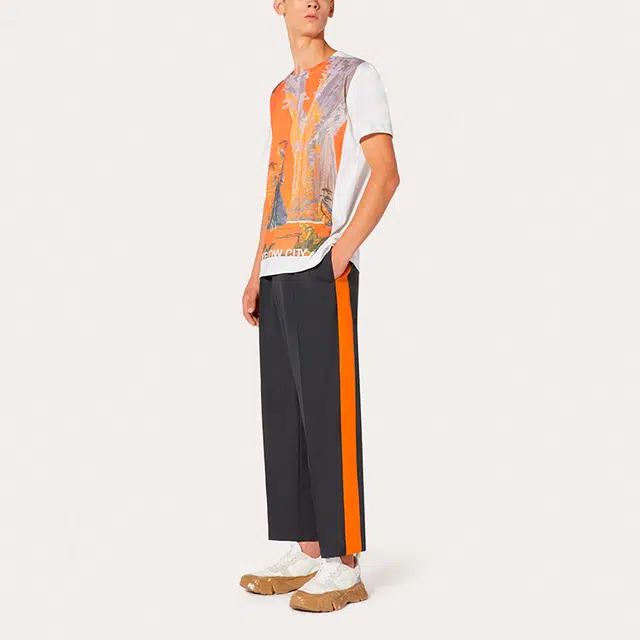 Valentino x Roger Dean T