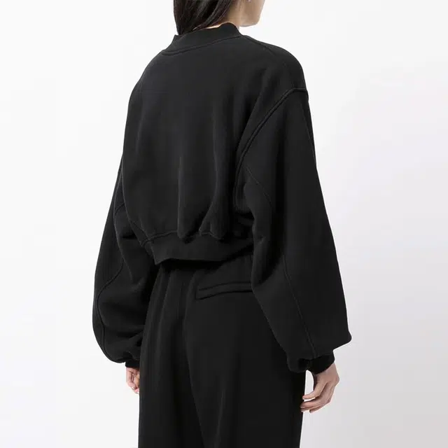 alexander wang VLogo