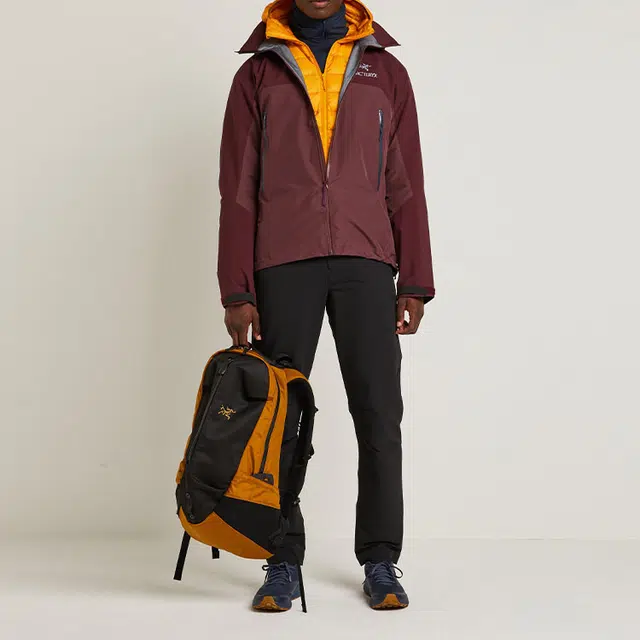 Arcteryx Beta Series