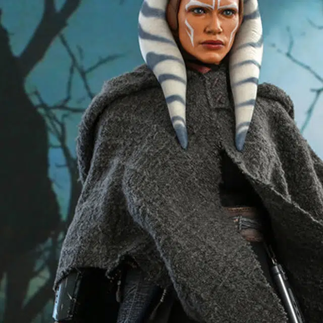 Hot Toys 16 dx21 28.5cm