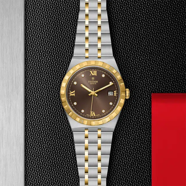 TUDOR 100 38mm M28503-0008