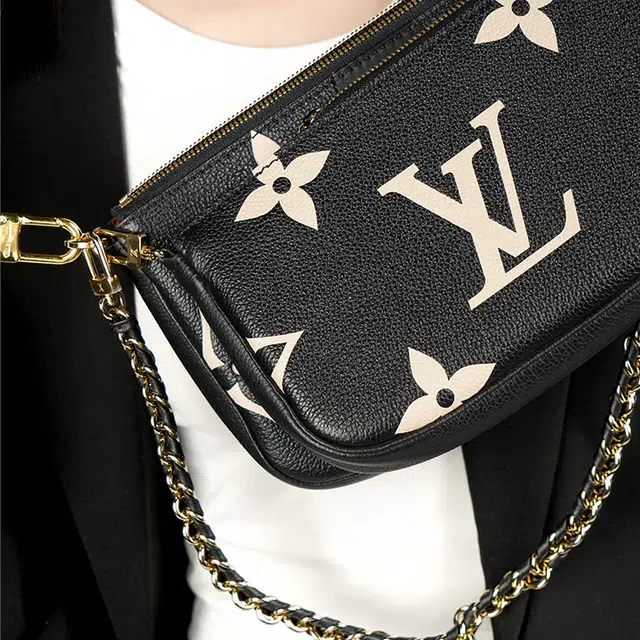 LOUIS VUITTON Multi Pochette