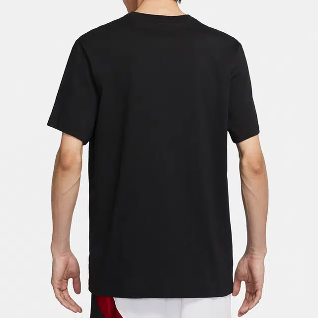 Jordan Air Wings T
