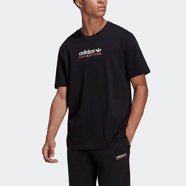 adidas originals Mtn Spr Tee LogoT