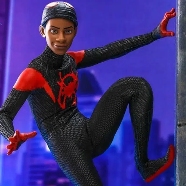Hot Toys 16 29cm