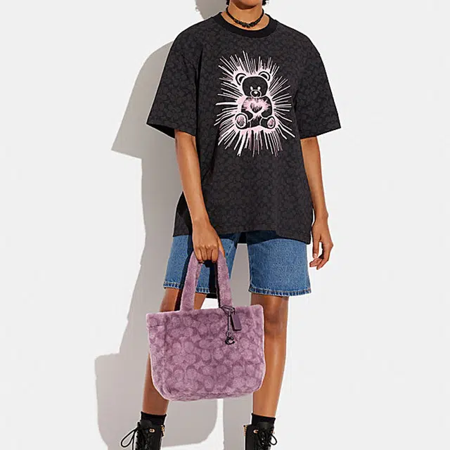 COACH Tote 28 Tote