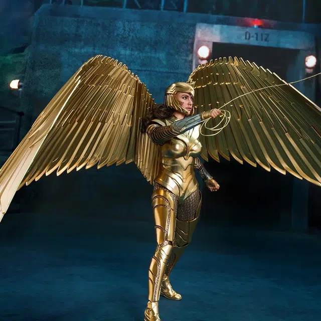 Hot Toys 16 5.0 30.5cm