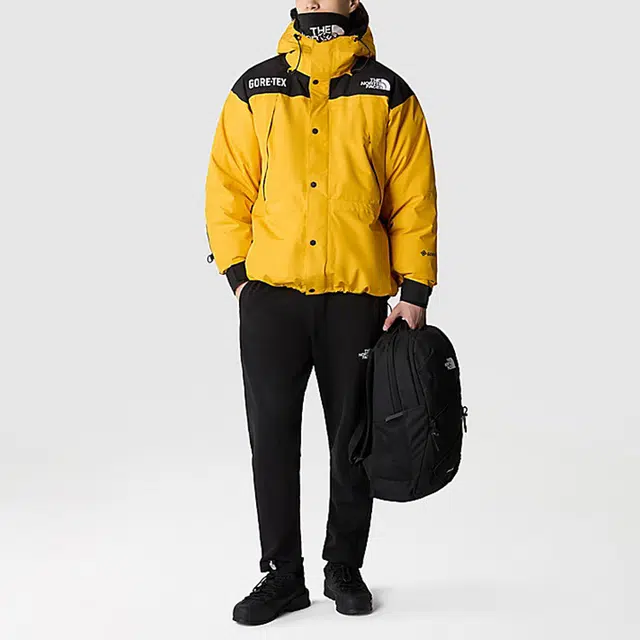 THE NORTH FACE GTX mountain jacket