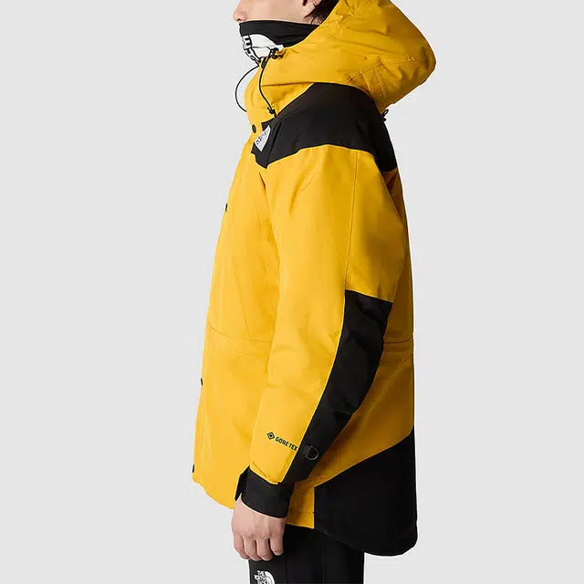 THE NORTH FACE GTX mountain jacket