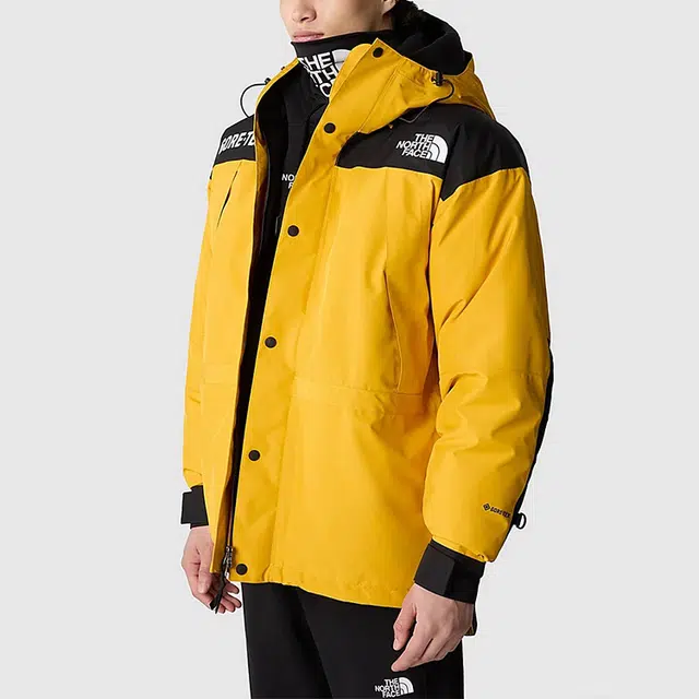 THE NORTH FACE GTX mountain jacket
