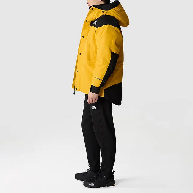 THE NORTH FACE GTX mountain jacket