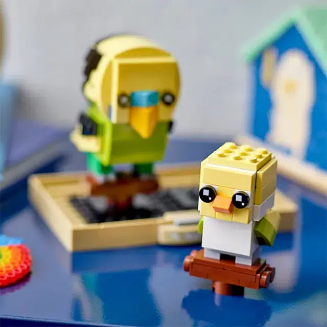 LEGO 40443