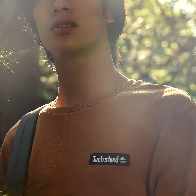 Timberland T