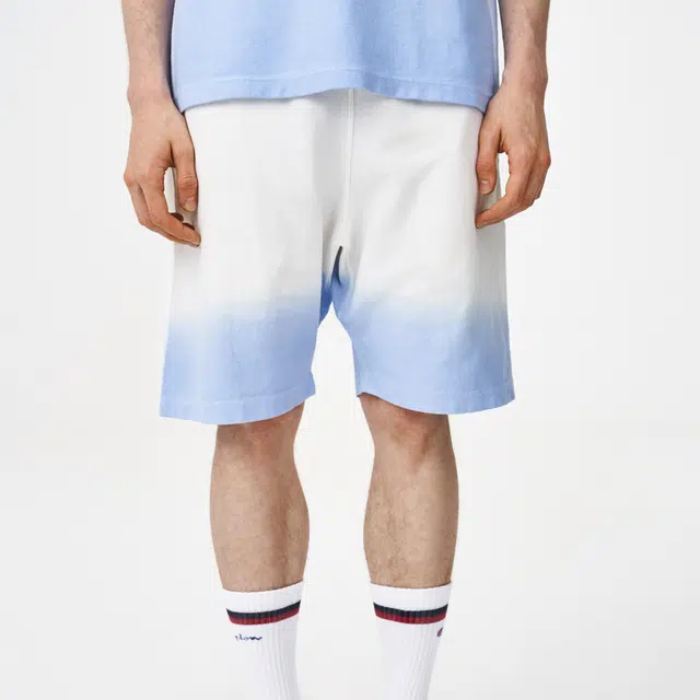 Champion Shorts
