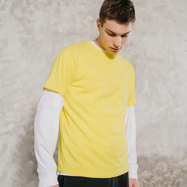 Dickies SS21 logoT
