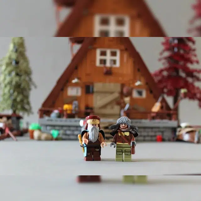 LEGO IDEAS 21338