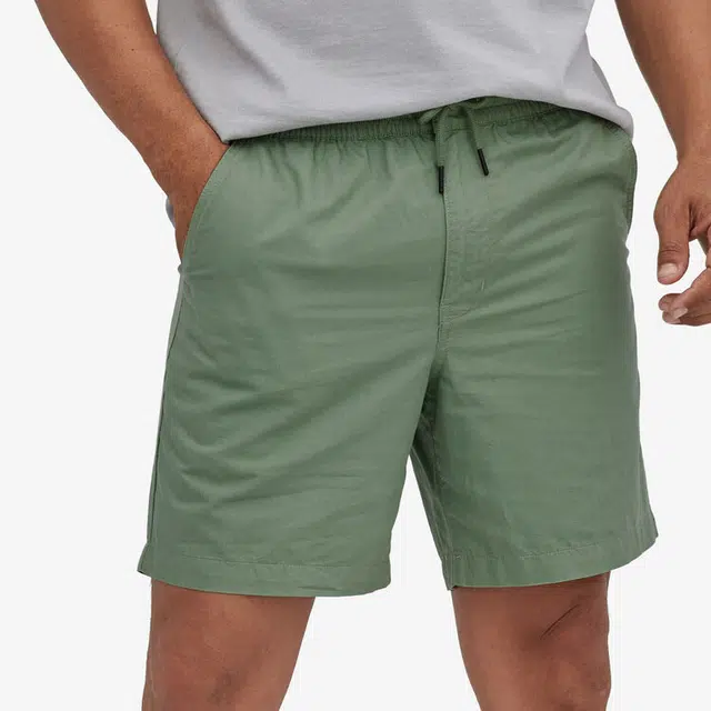 patagonia Hemp Volley Shorts