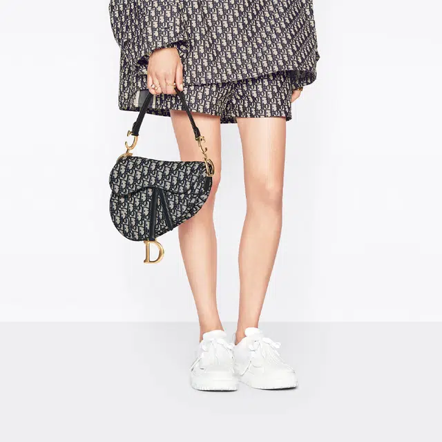 DIOR Saddle