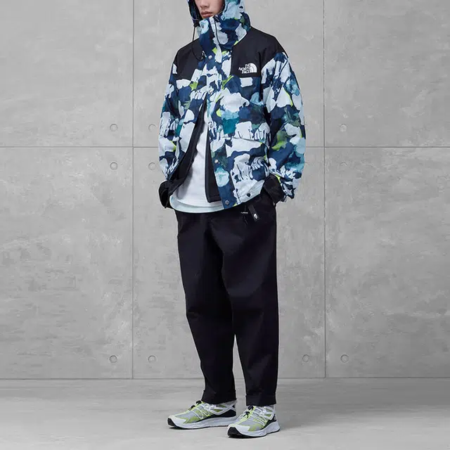 THE NORTH FACE
